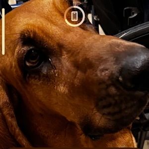 Meet your Posher, Rachelle